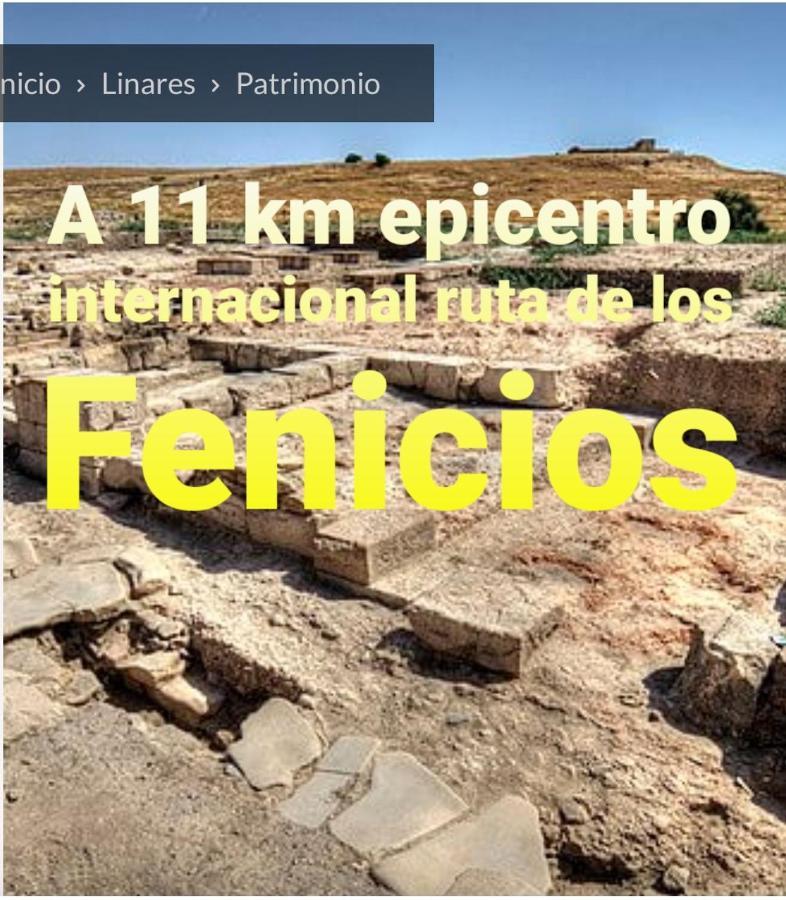 Piso La Buganvilla Bailén エクステリア 写真